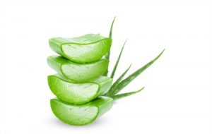 Tips menghilangkan jerawat dengan aloe vera